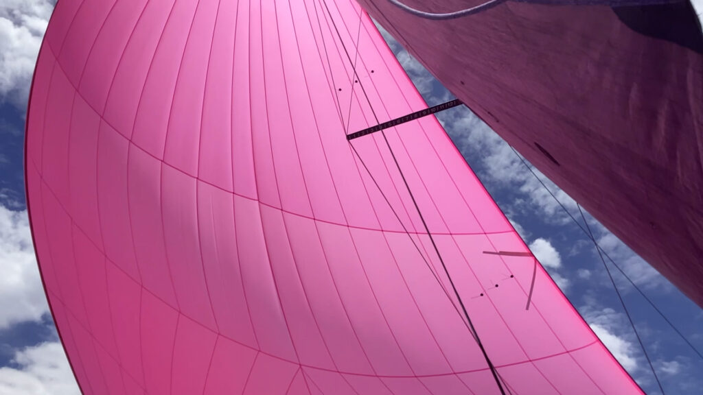 spi de jpk 1050 rose
