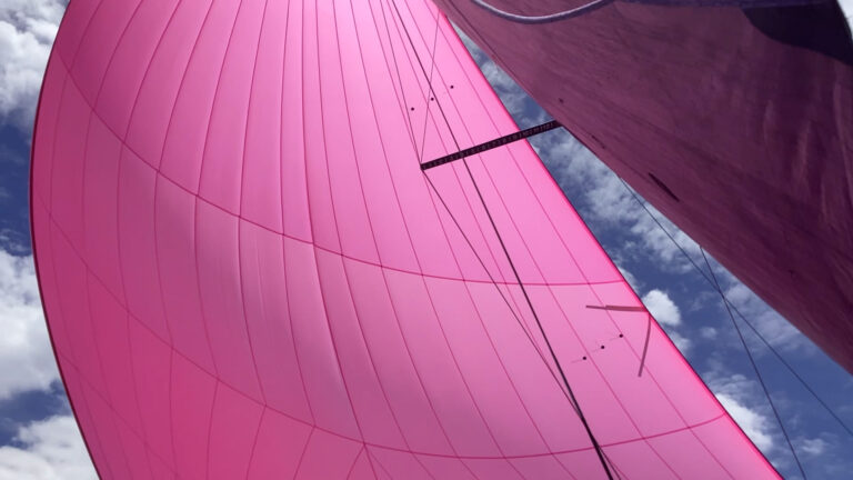 spi de jpk 1050 rose